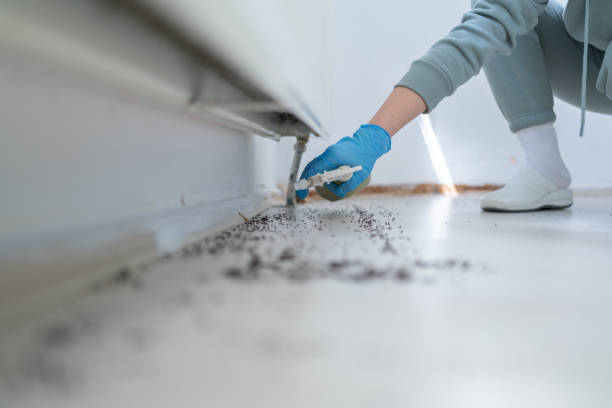 Insect Control in Roseland, OH